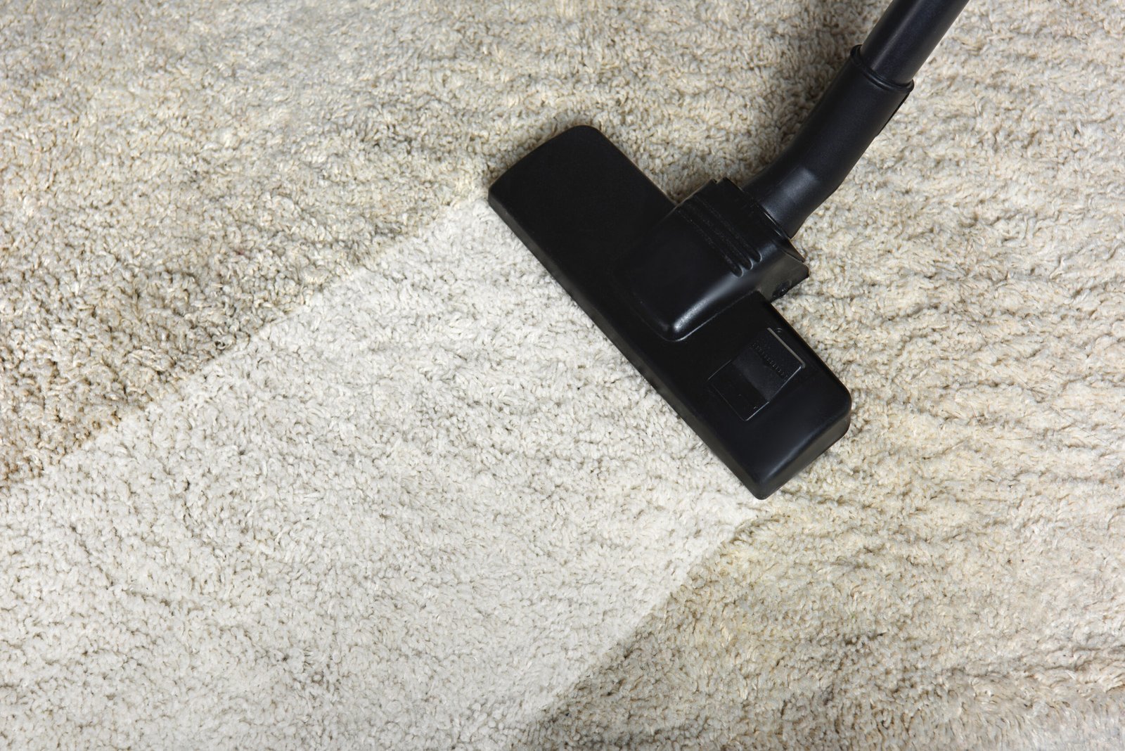 close-up view of cleaning white carpet with professional vacuum cleaner close-up view of cleaning white carpet with professional vacuum cleaner